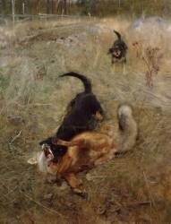 Chiens de chasse et renard (Bruno Liljefors) - Muzeo.com