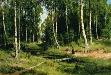 Dans la forêt de bouleaux (Ivan Chichkine) - Muzeo.com