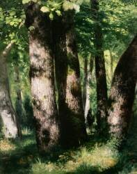 Dans la forêt de Fontainebleau (Auguste Renoir) - Muzeo.com