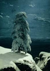 Dans le Nord sauvage (Ivan Chichkine) - Muzeo.com
