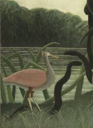 La charmeuse de serpents (Henri Rousseau) - Muzeo.com