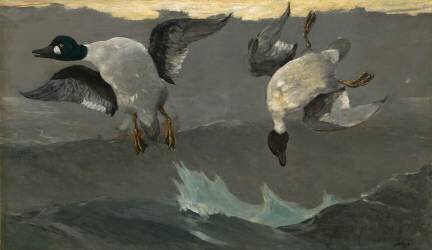 Droite et gauche (Winslow Homer) - Muzeo.com
