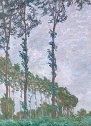 Effet de vent, série des peupliers (Claude Monet) - Muzeo.com