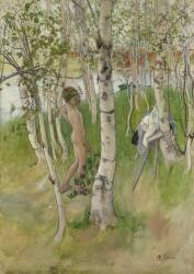 Garçon nu parmi les bouleaux (Carl Larsson) - Muzeo.com