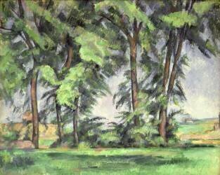 Grands Arbres au Jas de Bouffan, 1883 (Paul Cézanne) - Muzeo.com