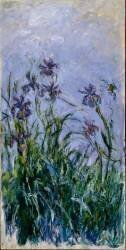 Iris violets (Claude Monet) - Muzeo.com