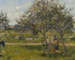 La brouette, verger (Camille Pissarro) - Muzeo.com
