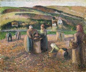La cueillette des pommes de terre (Camille Pissarro) - Muzeo.com