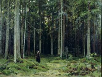 La forêt de la comtesse Mordvinov (Ivan Chichkine) - Muzeo.com