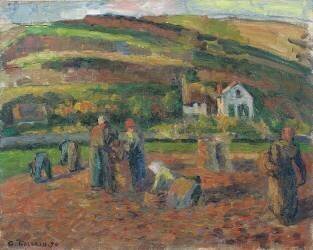 La récolte des pommes de terre (Camille Pissarro) - Muzeo.com