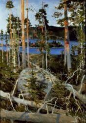 Lac dans le Wildniss (Akseli Gallen-Kallela) - Muzeo.com