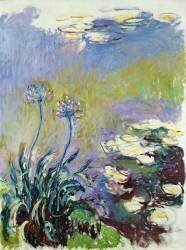 L'Agapanthus (Claude Monet) - Muzeo.com