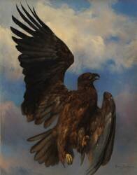 L'aigle blessé (Rosa Bonheur) - Muzeo.com
