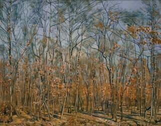 Le Bois des Frère (Ferdinand Hodler) - Muzeo.com