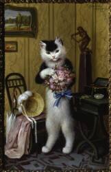 Le bouquet du chat (Sophie Sperlich) - Muzeo.com