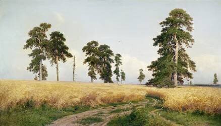 Le champ de blé (Ivan Chichkine) - Muzeo.com