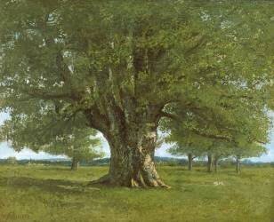 Le Chêne de Flagey (Gustave Courbet) - Muzeo.com