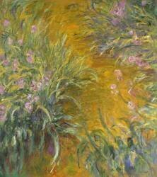 Le chemin à travers les Iris (Claude Monet) - Muzeo.com