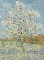 Le pêcher rose (Vincent van Gogh) - Muzeo.com