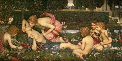Le réveil d'Adonis (John William Waterhouse) - Muzeo.com