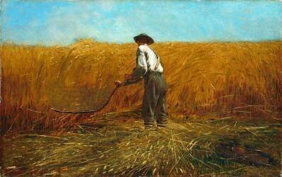 Le vétéran dans un nouveau champ (Winslow Homer) - Muzeo.com