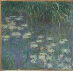 Les Nymphéas : Matin (Claude Monet) - Muzeo.com