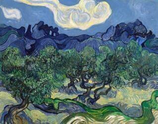 Les Oliviers (Vincent van Gogh) - Muzeo.com