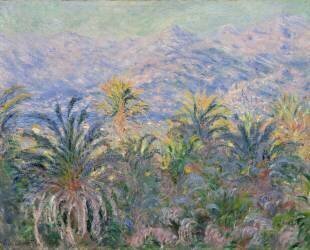 Les palmiers à Bordighera (Claude Monet) - Muzeo.com