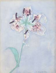 Lys (Piet Mondrian) - Muzeo.com