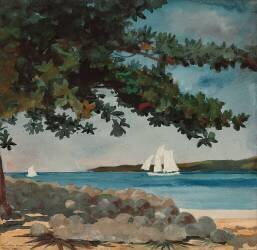 Nassau : Océan et Voilier (Winslow Homer) - Muzeo.com