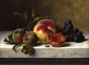 Nature morte aux fruits (Emilie Preyer) - Muzeo.com