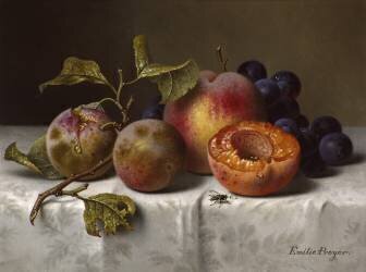 Nature morte aux fruits (Emilie Preyer) - Muzeo.com