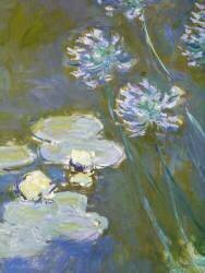Nénuphars et Agapanthes (Claude Monet) - Muzeo.com