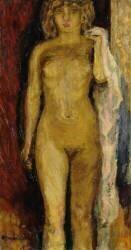 Nu (Pierre Bonnard) - Muzeo.com