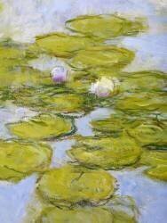 Nymphéas (Claude Monet) - Muzeo.com
