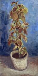 Ortie de flamme dans un pot de fleurs (Vincent van Gogh) - Muzeo.com