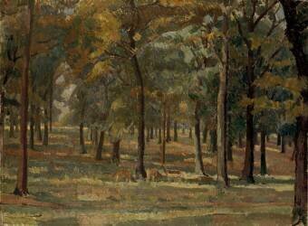 Parc de Richmond (Spencer Frederick Gore) - Muzeo.com