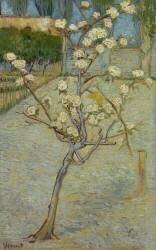 Petit poirier en fleur (Vincent van Gogh) - Muzeo.com