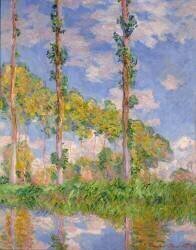 Peupliers au soleil (Claude Monet) - Muzeo.com