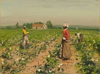 La cueillette du coton (Gilbert Gaul) - Muzeo.com