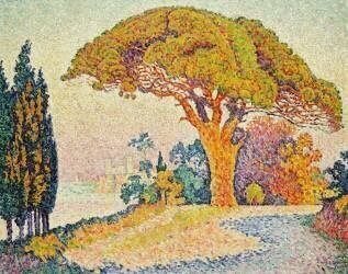 Pins à Bertaud, Saint-Tropez (Provence) (Paul Signac) - Muzeo.com