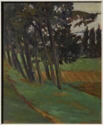 Porto, les eucalyptus (Jean-Baptiste Bassoul) - Muzeo.com