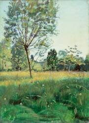 Pré d'or (Ferdinand Hodler) - Muzeo.com