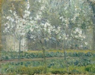 Printemps. Pruniers en fleurs, dit : Potager, arbres en fleurs, printemps, Pontoise (Camille Pissarro) - Muzeo.com