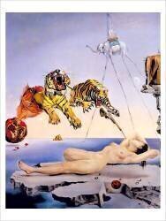 Rêve causé par le vol d'une abeille autour d'une grenade, une seconde avant l'éveil (Salvador Dali) - Muzeo.com