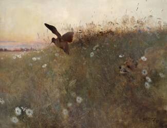 Renard et bécasse (Bruno Liljefors) - Muzeo.com