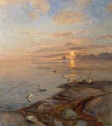 Oiseaux de mer au soleil de minuit (Thorolf Holmboe) - Muzeo.com