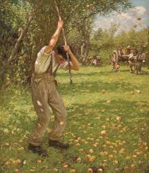 Secouer les pommes à cidre (Henry Herbert la Thangue) - Muzeo.com