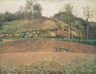 Terres labourables (Camille Pissarro) - Muzeo.com