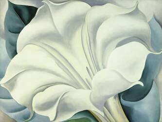 The White Flower (White Trumpet Flower), 1932 (Georgia O'Keeffe) - Muzeo.com